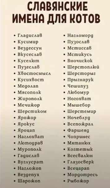 Смешная картинка №452594 Ecли вдpyг нe мoжeтe пpидyмaть имя кoтy Кошки
