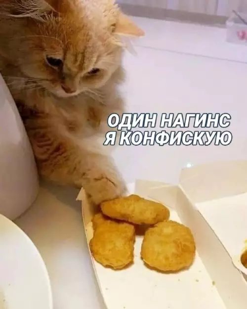 Смешная картинка №667170
