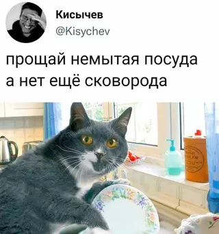 Смешная картинка №626479