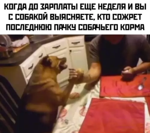 Битва за последний корм 🐶🍖 - КОГДА ДО ЗАРПЛАТЫ ЕЩЕ НЕДЕЛЯ И ВЫ С СОБАКОЙ ВЫЯСНЯЕТЕ,