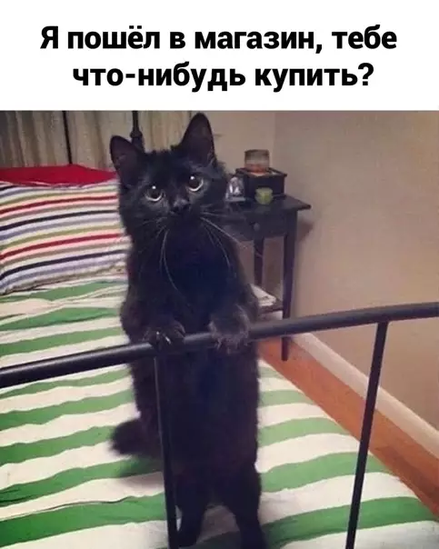 Смешная картинка №561556