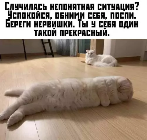 Смешная картинка №395754