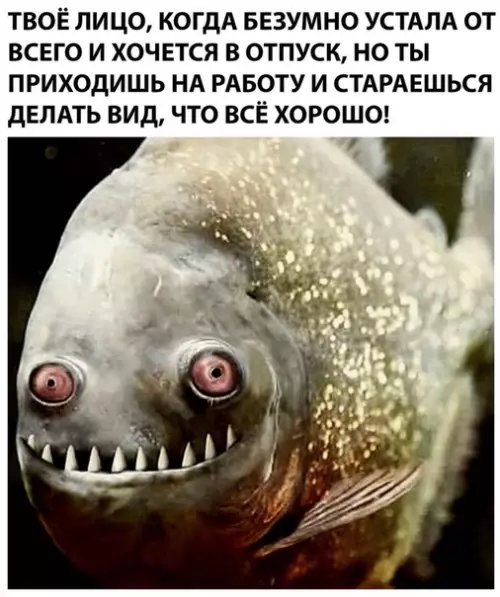 Смешная картинка №502688 Слишком жизненно!