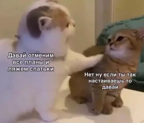 Смешная картинка №710800