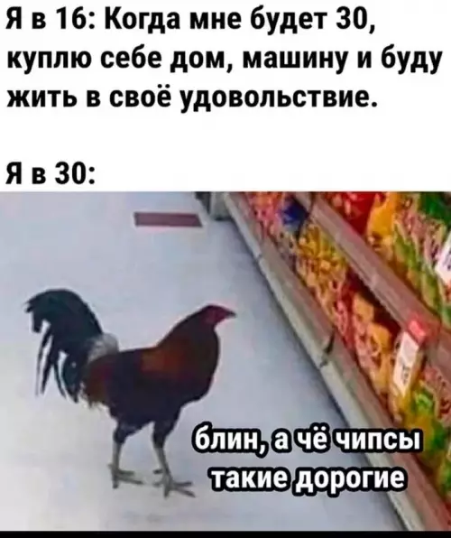 Смешная картинка №684790
