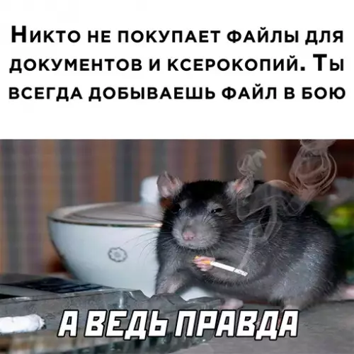 Смешная картинка №656148