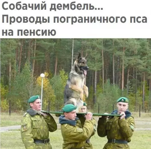 Смешная картинка №209691