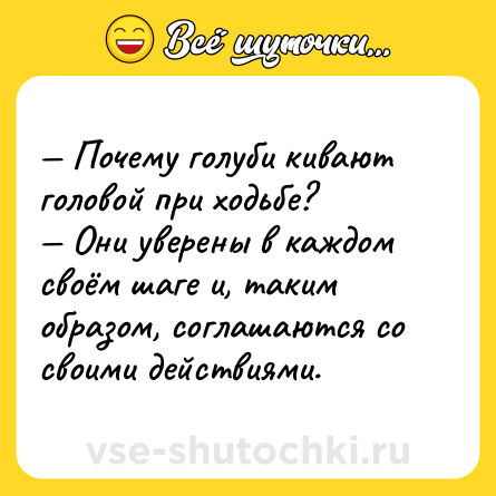 Шутка: — Почему голуби кивают головой при ходьбе?<br>— Они уверены в каждом своём шаге и, таким образом, соглашаются со своими действиями.