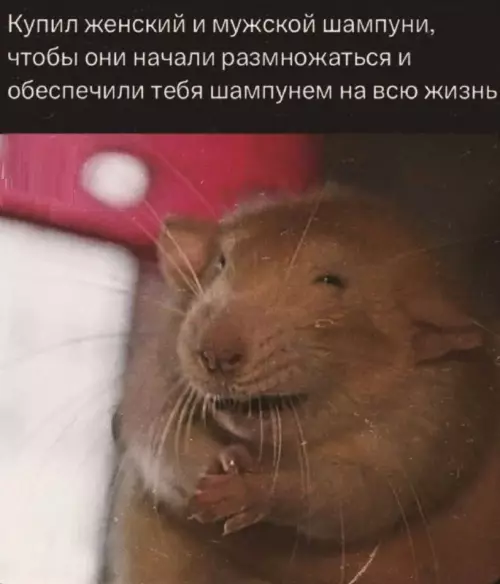 Смешная картинка №810803