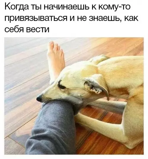 Смешная картинка №694104