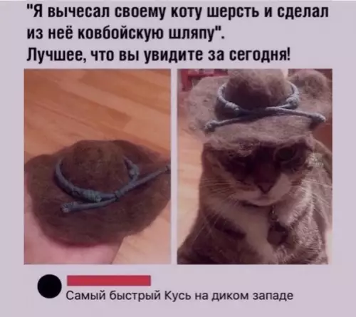 Смешная картинка №547397
