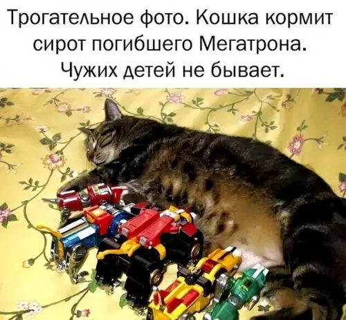 Смешная картинка №331847
