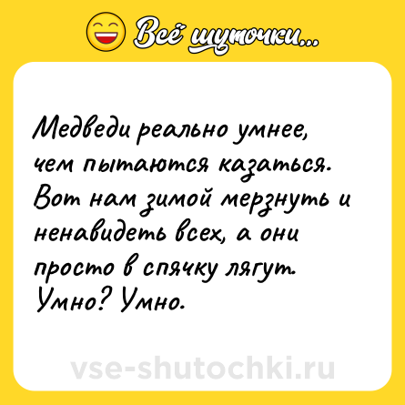 Шутка: Медведи реально умнее, чем пытаются казаться. Вот нам зимой мерзнуть и ненавидеть всех, а они просто в спячку лягут. Умно? Умно.
