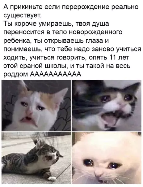 Смешная картинка №461736 Жестокое колесо Сансары