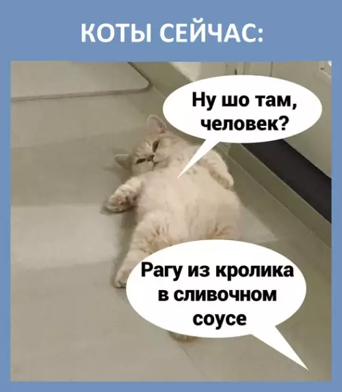 продолжение Смешная картинка №586459 Нет слов, одни только эмоции