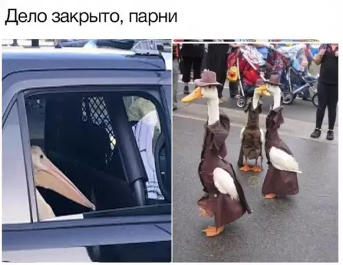Смешная картинка №278749