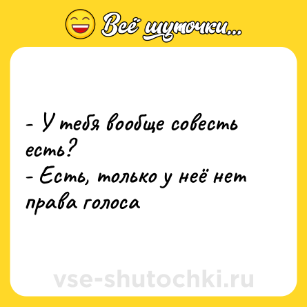 Шутка: - У тебя вообще совесть есть?<br>- Есть, только у неё нет права голоса