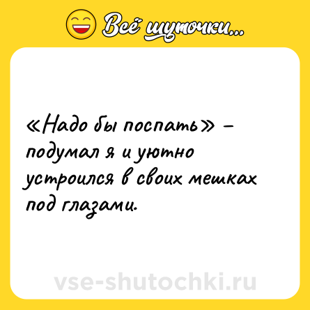 Шутка: «Надо бы поспать» – подумал я и уютно устроился в своих мешках под глазами.