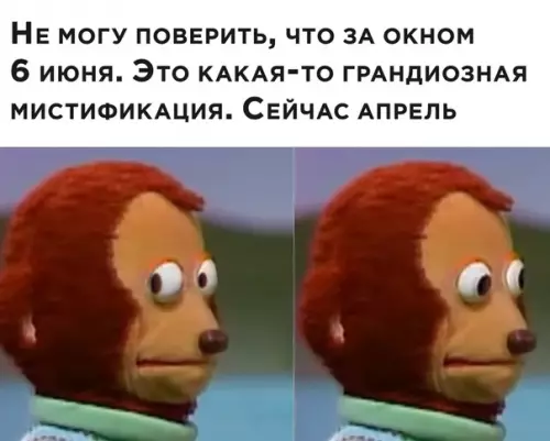 Смешная картинка №498778