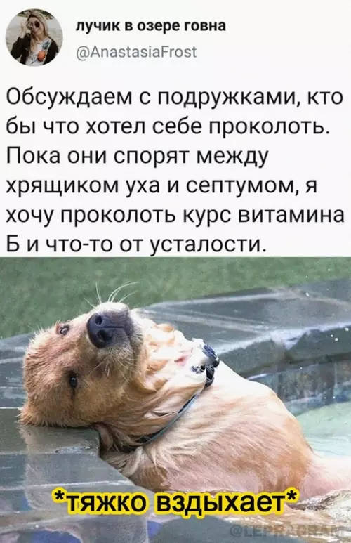 Смешная картинка №696688