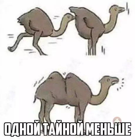 Смешная картинка №527959 Теперь ты знаешь как появились верблюды ?