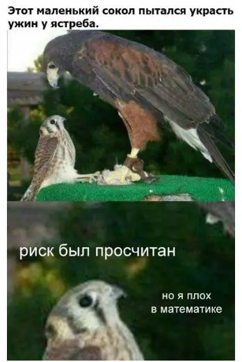 Смешная картинка №239208