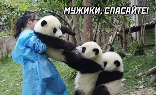 продолжение Смешная картинка №589603