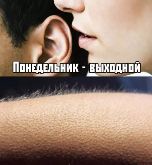 Смешная картинка №394133