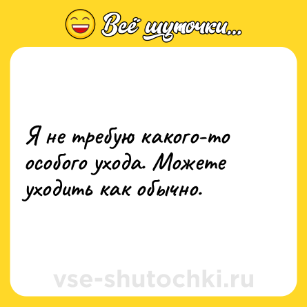 Шутка: Я не требую какого-то особого ухода. Можете уходить как обычно.