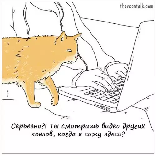 Смешная картинка №198655 коты