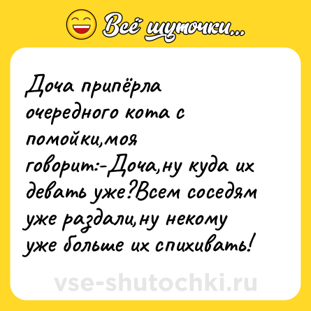 Шутка: Доча припёрла очередного кота с помойки,моя говорит:-Доча,ну куда их девать уже?Всем соседям уже раздали,ну некому уже больше их спихивать!