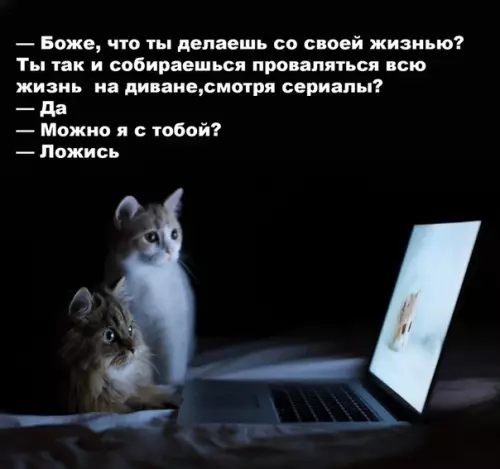 Смешная картинка №501826 Прекрасный плaн