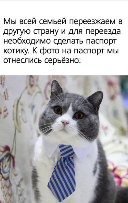 Смешная картинка №615838