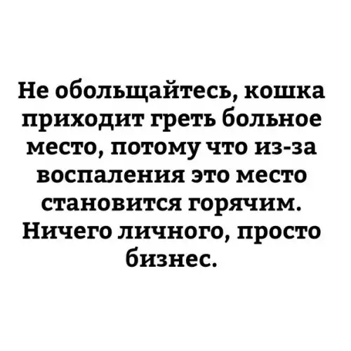 Смешная картинка №264320
