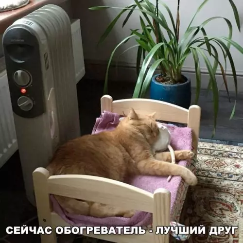 Смешная картинка №214140
