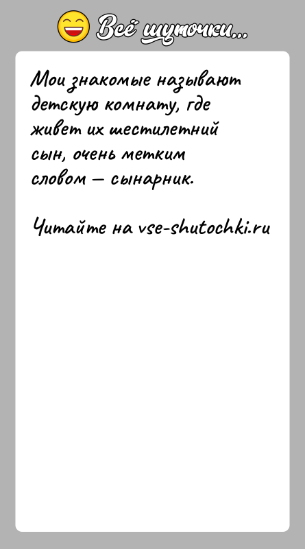 История: Мои знакомые называют детскую комнату, где живет их шестилетний сын, очень метким словом сынарник.