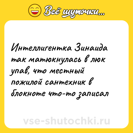 Шутка: Интеллигентка Зинаида так матюкнулась в люк упав, что местный пожилой сантехник в блокноте что-то записал