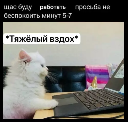 Смешная картинка №779513