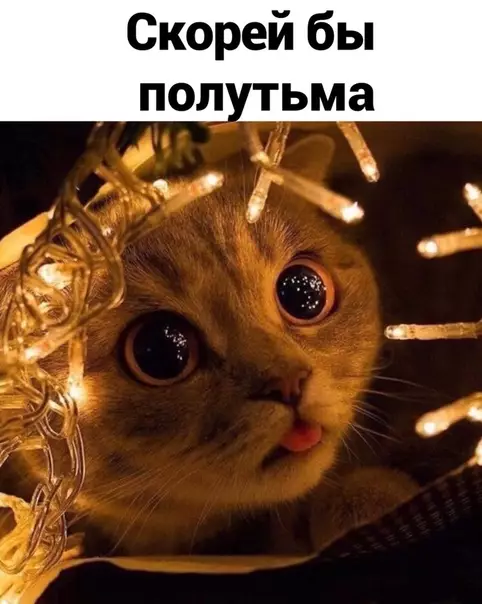 Смешная картинка №533183