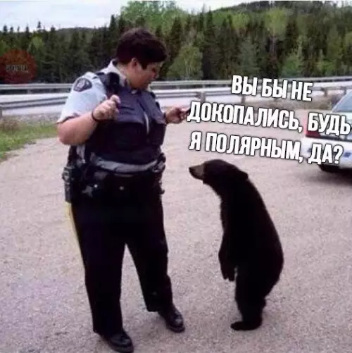 Смешная картинка №237723