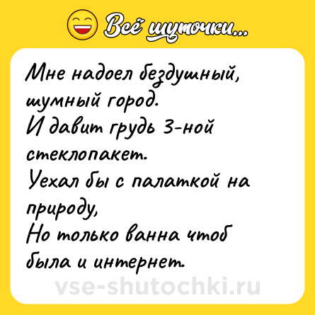 Шутка: Мне надоел бездушный, шумный город.<br>И давит грудь 3-ной стеклопакет.<br>Уехал бы с палаткой на природу,<br>Но только ванна чтоб была и интернет.