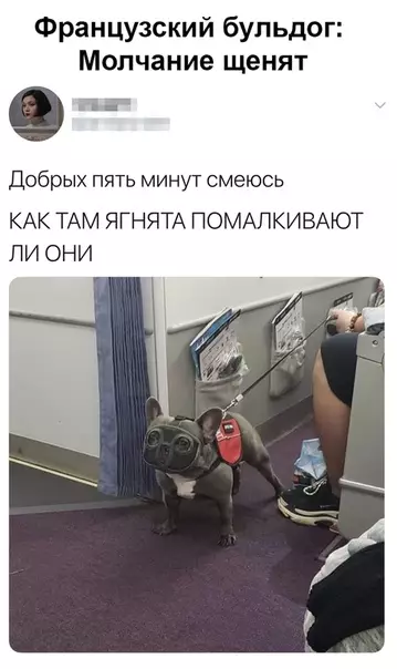 Смешная картинка №384021