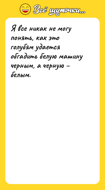 Я все никак не могу понять, как это голубям удается