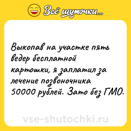 Шутка: Выкопав на участке пять ведер бесплатной картошки, я заплатил за лечение позвоночника 50000 рублей. Зато без ГМО.