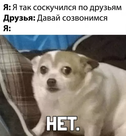 Смешная картинка №491001