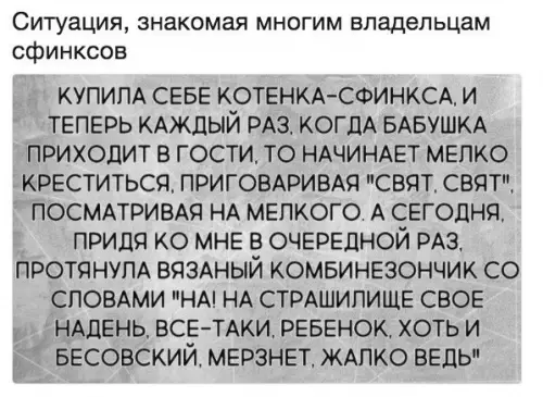 Смешная картинка №231840