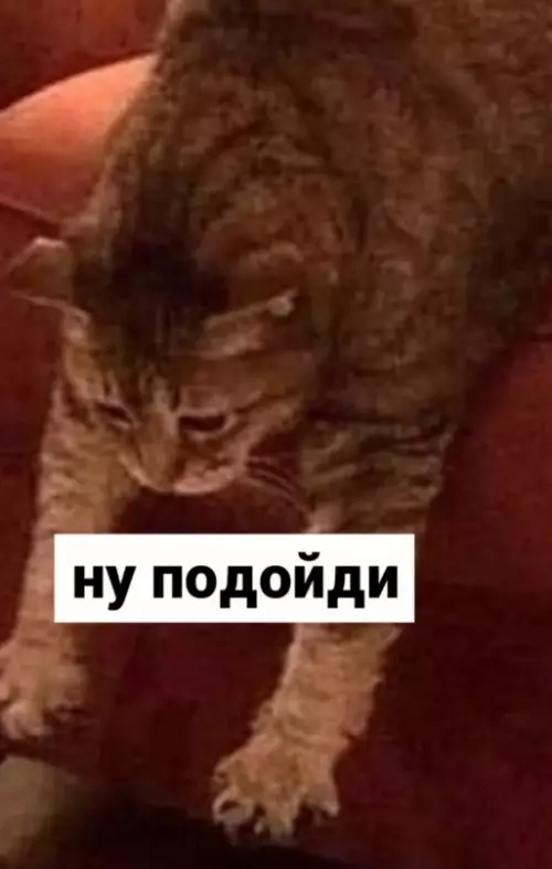 продолжение Смешная картинка №609155