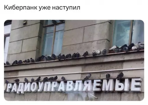 Смешная картинка №774678