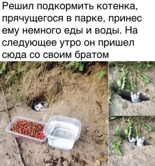 Смешная картинка №551581 Самое милое за сегодня
