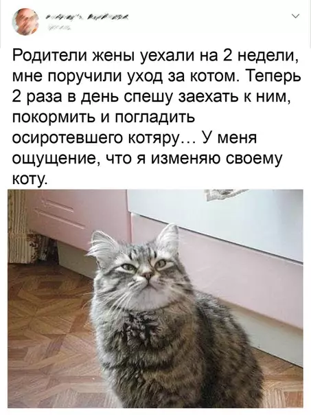 Смешная картинка №487853 Предатель!